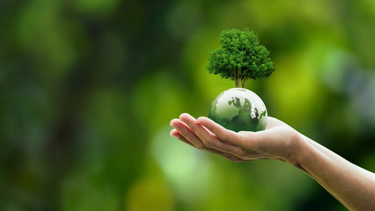 Earth Day — The Eco-Friendly Benefits of Natural Latex Pillows