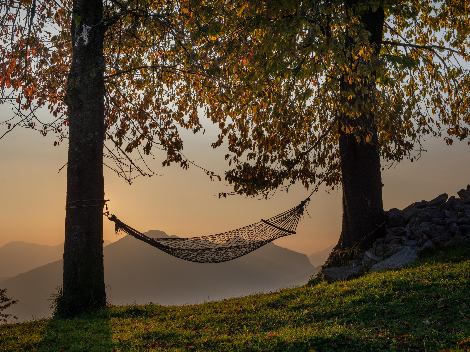 Embracing the Seasonal Shift: How Fall's Cooler Weather and Shorter Days Affect Your Sleep